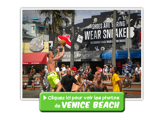 Usagi et ses photos de Venice Beach