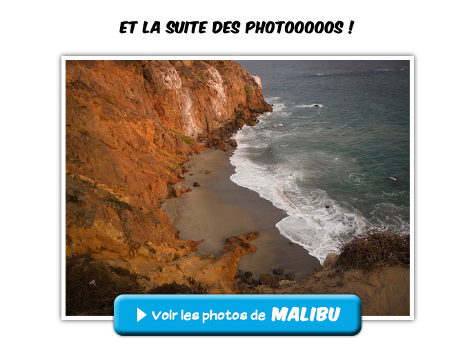 usagi_photos_malibu